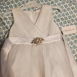 Flower girl/ mini bridesmaid dress